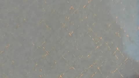 Snapshot of junosomnum chatting on 1, 3, 2025 junosomnum online show from 1, 3, 2025