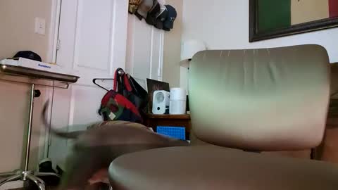 just4fun1523 online show from 9, 1, 2026