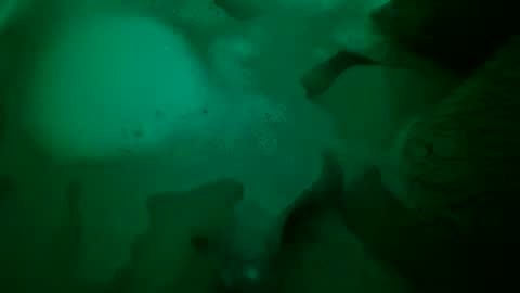 Snapshot of just4funfunfun87 chatting on 22, 12, 2024 Yuri online show from 22, 12, 2024