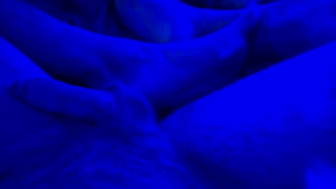 Snapshot of just4funfunfun87 chatting on 14, 1, 2025 Yuri online show from 14, 1, 2025