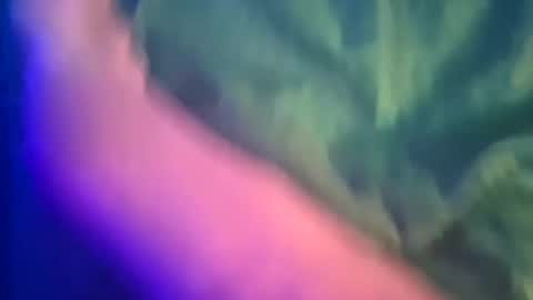 Snapshot of just4funfunfun87 chatting on 8, 3, 2025 Yuri online show from 8, 3, 2025