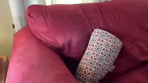 Snapshot of just4you101 chatting on 1, 3, 2025 Flirty influncer online show from 1, 3, 2025