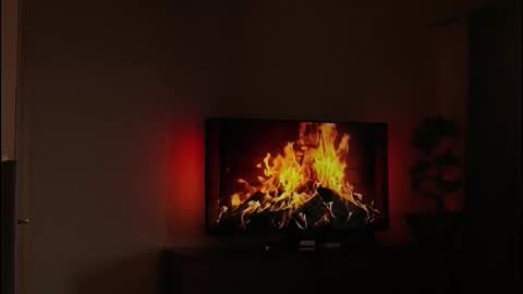 Snapshot of just_dakota_ chatting on 19, 2, 2026 just_dakota_ online show from 19, 2, 2026