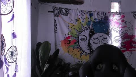 Sofia online show from 5, 2, 2025