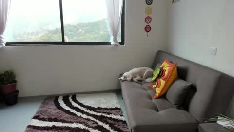 Sofia online show from 7, 3, 2025