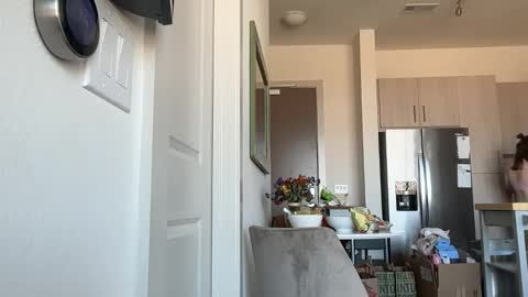 Stella online show from 12, 2, 2026