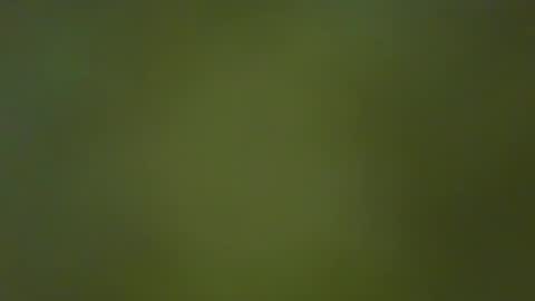 McKeefer online show from 23, 1, 2025