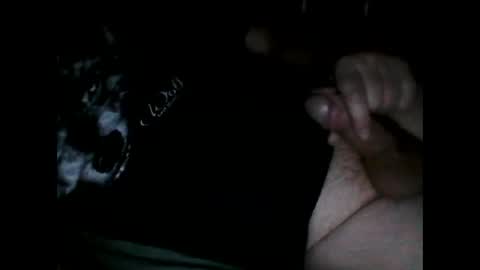 Snapshot of justpervfun chatting on 8, 12, 2024 justpervfun online show from 8, 12, 2024