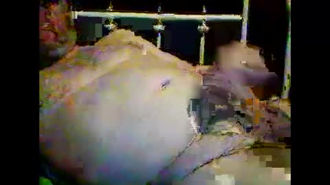 Snapshot of justpervfun chatting on 15, 1, 2025 justpervfun online show from 15, 1, 2025