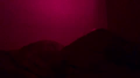 Call me Just online show from 26, 12, 2024