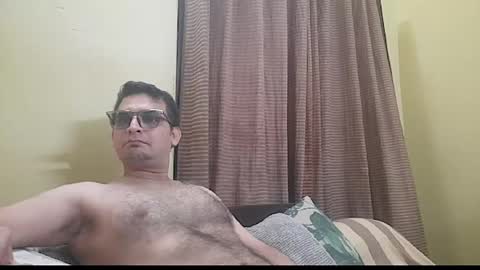 k9cat online show from 3, 5, 2026