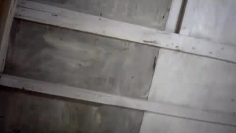 kakaroto30102 online show from 17, 2, 2025