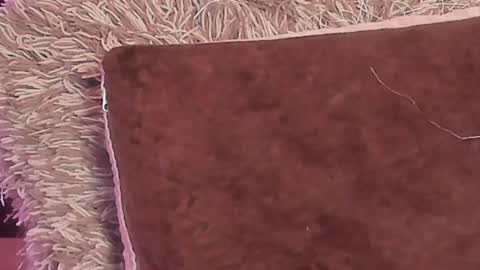 KaliMonroe online show from 29, 12, 2024