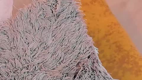 KaliMonroe online show from 26, 1, 2025