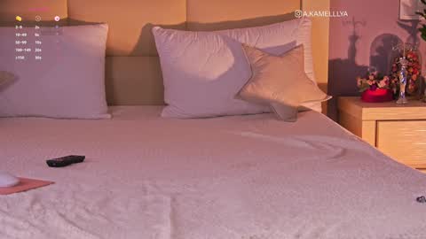 Snapshot of kamelllya chatting on 2, 2, 2025 Kamelllya online show from 2, 2, 2025