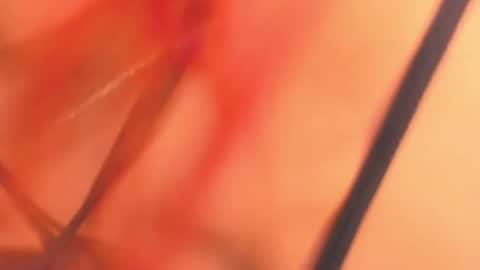 Snapshot of karina_belov_01 chatting on 18, 2, 2025 KarinaBelov online show from 18, 2, 2025