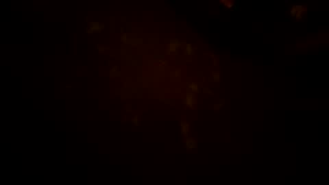 Karla Gonzaless online show from 27, 11, 2025