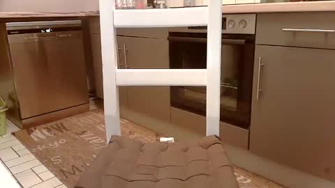 Snapshot of karlodi chatting on 16, 2, 2025 Kev online show from 16, 2, 2025