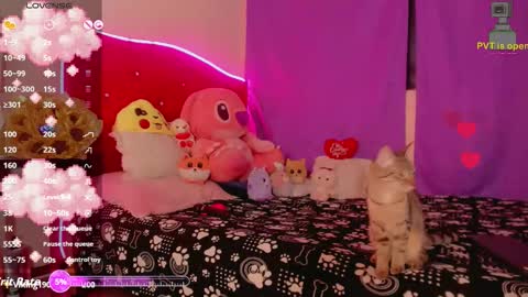 karol online show from 18, 11, 2025