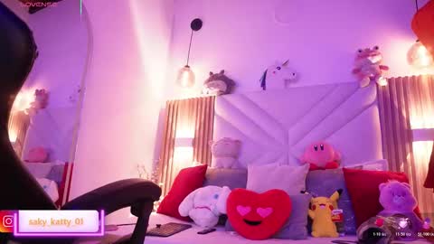 Saky online show from 20, 2, 2026