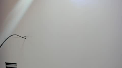 Kate  online show from 18, 2, 2026