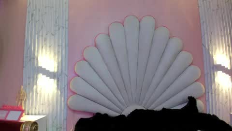 kate online show from 16, 4, 2026