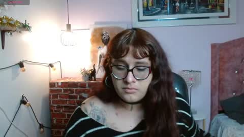 kate online show from 11, 4, 2026