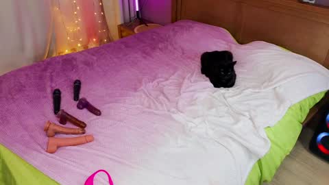 Kate  Sex-House  MILA WAYGMT2 MonTue  0300am-1500am online show from 5, 12, 2024