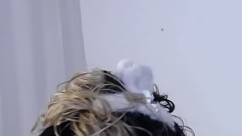 Snapshot of katejolie chatting on 11, 12, 2024 Help me with rate thanks online show from 11, 12, 2024