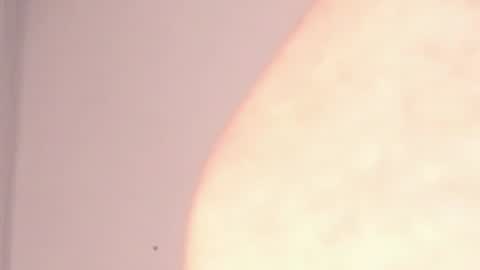 Snapshot of katejolie chatting on 7, 1, 2025 Help me with rate thanks online show from 7, 1, 2025