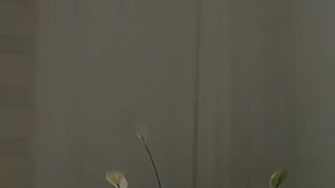 Snapshot of katejolie chatting on 2, 2, 2025 Help me with rate thanks online show from 2, 2, 2025