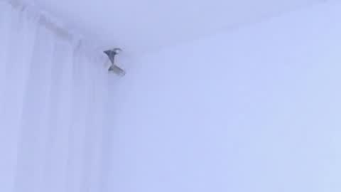 Help me with rate thanks  online show from 8, 1, 2026