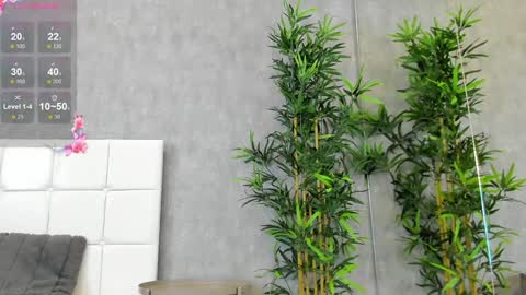 Kate online show from 14, 1, 2025