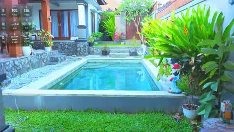 Katie online show from 20, 4, 2026