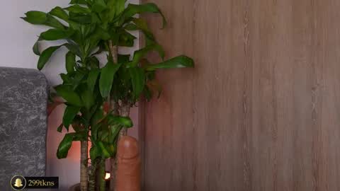 Snapshot of katiecruz_ chatting on 20, 11, 2025 Katie online show from 20, 11, 2025