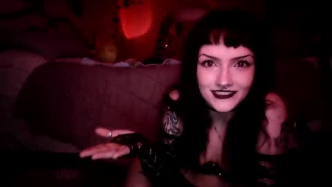 kattattacck online show from 31, 5, 2026