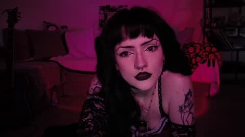 kattattacck online show from 9, 6, 2026