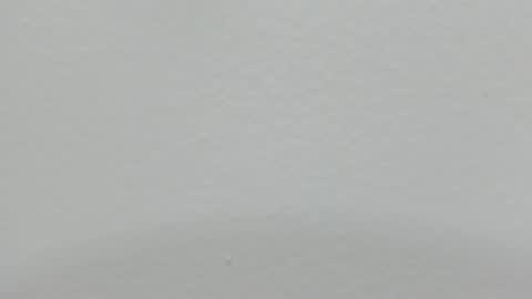 katy blonde girl and paola big boobs online show from 26, 2, 2025