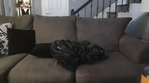 Snapshot of katycouple2003 chatting on 5, 10, 2025 katycouple2003 online show from 5, 10, 2025