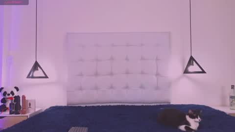 Cattleya stone online show from 18, 2, 2025