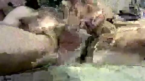 Snapshot of kazzarsouth chatting on 5, 3, 2025 kazzarsouth online show from 5, 3, 2025