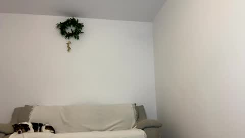 Snapshot of kennasoft chatting on 15, 1, 2025 Kenna next time online - 2nd of Dec online show from 15, 1, 2025