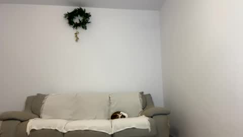 Snapshot of kennasoft chatting on 15, 1, 2025 Kenna next time online - 2nd of Dec online show from 15, 1, 2025