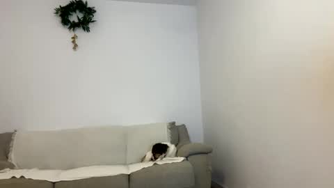 Snapshot of kennasoft chatting on 23, 1, 2025 Kenna next time online - 2nd of Dec online show from 23, 1, 2025