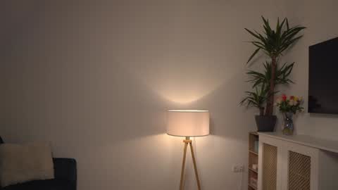 Snapshot of kevinandresxx chatting on 3, 1, 2025 Kevin online show from 3, 1, 2025