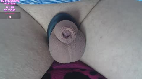 Kevin online show from 16, 2, 2026