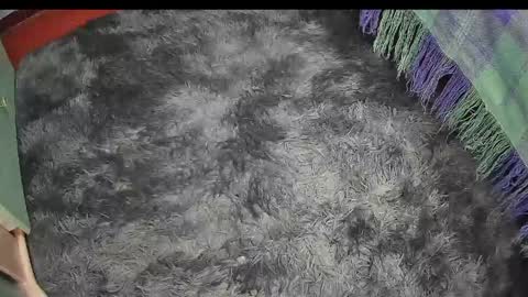 Keyla online show from 17, 4, 2026