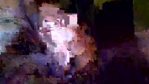 Snapshot of khrisdavis63 chatting on 21, 10, 2025 Khristopher Davis online show from 21, 10, 2025