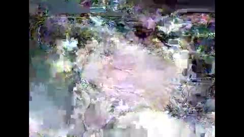 Snapshot of ki389253 chatting on 4, 3, 2026 ki389253 online show from 4, 3, 2026