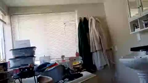 kikilovespartylights online show from 10, 4, 2026